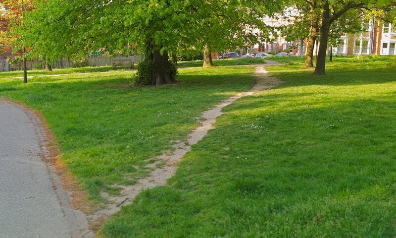 Desire path